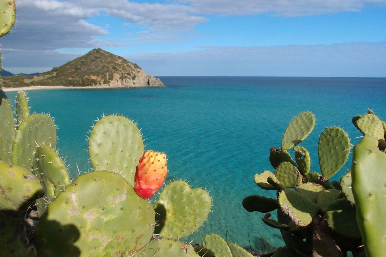 Вилла Casa Casciu La Collina Sul Mare Коста Рей Экстерьер фото